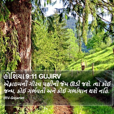હોશિયા 9:11 GUJIRV Bible Verse Image