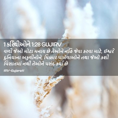 Picture 02 - 1 કરિંથીઓને 1:28 GUJIRV - વળી જેઓ મોટા મનાય - Bible Verse Picture