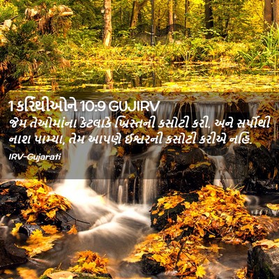 Picture 02 - 1 કરિંથીઓને 10:9 GUJIRV - જેમ તેઓમાંના - Bible Verse Picture
