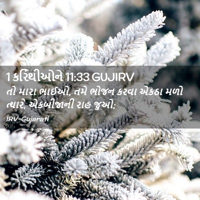 Picture 02 - 1 કરિંથીઓને 11:33 GUJIRV - તો મારા ભાઈઓ, તમે - Bible Verse Picture