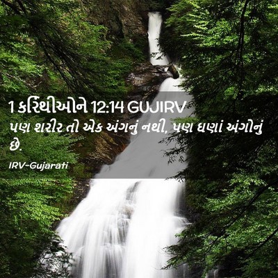 Picture 02 - 1 કરિંથીઓને 12:14 GUJIRV - પણ શરીર તો એક - Bible Verse Picture