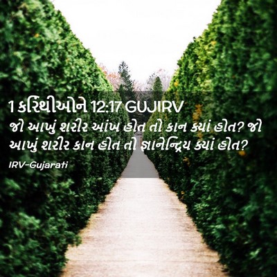 Picture 02 - 1 કરિંથીઓને 12:17 GUJIRV - જો આખું શરીર આંખ - Bible Verse Picture