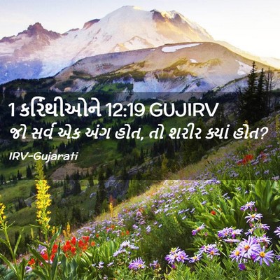 Picture 02 - 1 કરિંથીઓને 12:19 GUJIRV - જો સર્વ એક અંગ હોત, - Bible Verse Picture