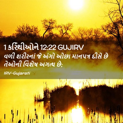 Picture 02 - 1 કરિંથીઓને 12:22 GUJIRV - વળી શરીરનાં જે - Bible Verse Picture