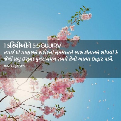 Picture 02 - 1 કરિંથીઓને 5:5 GUJIRV - તમારે એ માણસને - Bible Verse Picture