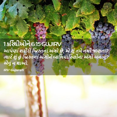 Picture 02 - 1 કરિંથીઓને 6:15 GUJIRV - આપણાં શરીરો - Bible Verse Picture