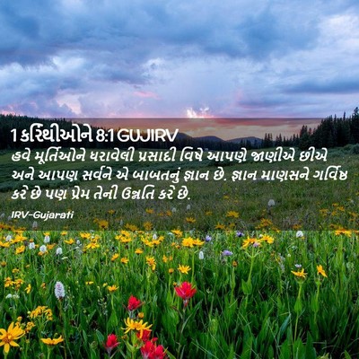 Picture 02 - 1 કરિંથીઓને 8:1 GUJIRV - હવે મૂર્તિઓને - Bible Verse Picture