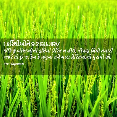 Picture 02 - 1 કરિંથીઓને 9:2 GUJIRV - જોકે હું બીજાઓની - Bible Verse Picture