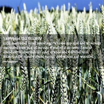 Picture 02 - 1 કાળવૃતાંત 13:2 GUJIRV - દાઉદે ઇઝરાયલની - Bible Verse Picture