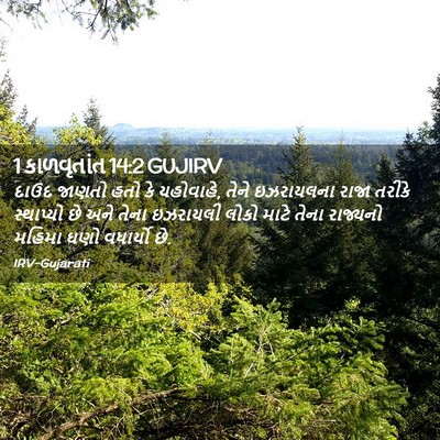 Picture 02 - 1 કાળવૃતાંત 14:2 GUJIRV - દાઉદ જાણતો હતો કે - Bible Verse Picture