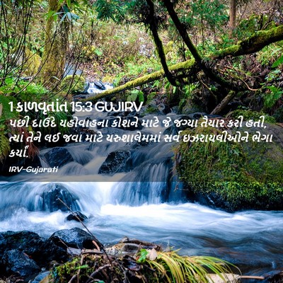 Picture 02 - 1 કાળવૃતાંત 15:3 GUJIRV - પછી દાઉદે - Bible Verse Picture