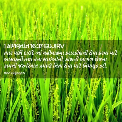 Picture 02 - 1 કાળવૃતાંત 16:37 GUJIRV - ત્યાર પછી દાઉદે - Bible Verse Picture