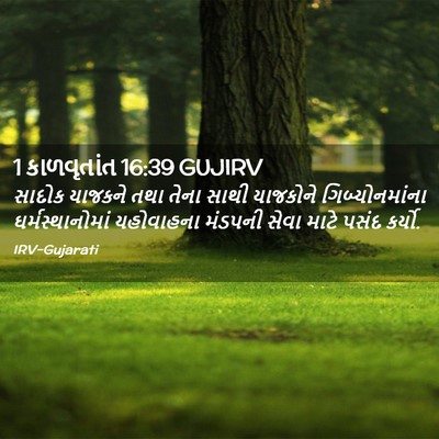 Picture 02 - 1 કાળવૃતાંત 16:39 GUJIRV - સાદોક યાજકને તથા - Bible Verse Picture