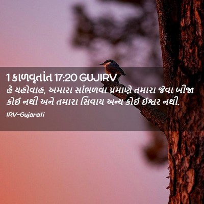 Picture 02 - 1 કાળવૃતાંત 17:20 GUJIRV - હે યહોવાહ, અમારા - Bible Verse Picture