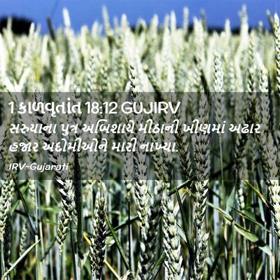 Picture 02 - 1 કાળવૃતાંત 18:12 GUJIRV - સરુયાના પુત્ર - Bible Verse Picture