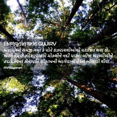 Picture 02 - 1 કાળવૃતાંત 19:16 GUJIRV - અરામીઓ સમજી ગયા કે - Bible Verse Picture