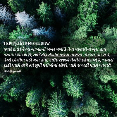Picture 02 - 1 કાળવૃતાંત 19:5 GUJIRV - જ્યારે દાઉદને આ - Bible Verse Picture