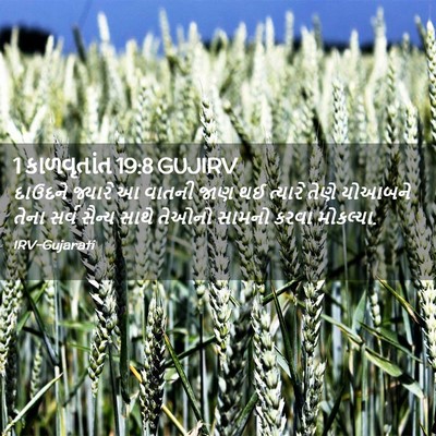 Picture 02 - 1 કાળવૃતાંત 19:8 GUJIRV - દાઉદને જ્યારે આ - Bible Verse Picture