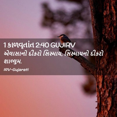 Picture 02 - 1 કાળવૃતાંત 2:40 GUJIRV - એલાસાનો દીકરો - Bible Verse Picture