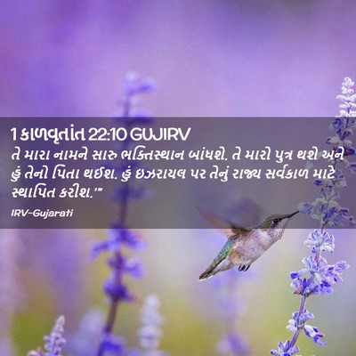 Picture 02 - 1 કાળવૃતાંત 22:10 GUJIRV - તે મારા નામને સારુ - Bible Verse Picture