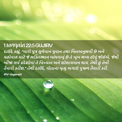 Picture 02 - 1 કાળવૃતાંત 22:5 GUJIRV - દાઉદે કહ્યું, - Bible Verse Picture