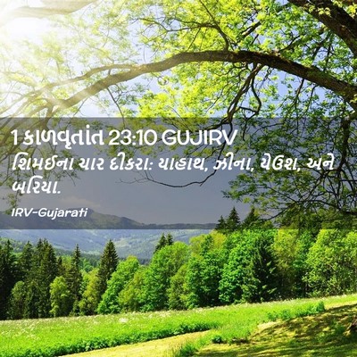 Picture 02 - 1 કાળવૃતાંત 23:10 GUJIRV - શિમઈના ચાર દીકરા: - Bible Verse Picture
