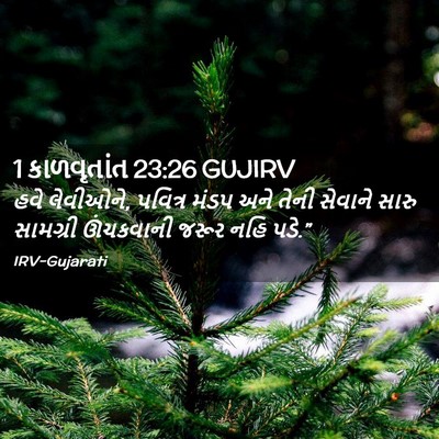 Picture 02 - 1 કાળવૃતાંત 23:26 GUJIRV - હવે લેવીઓને, - Bible Verse Picture
