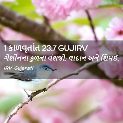 Picture 02 - 1 કાળવૃતાંત 23:7 GUJIRV - ગેર્શોનના કુળના - Bible Verse Picture