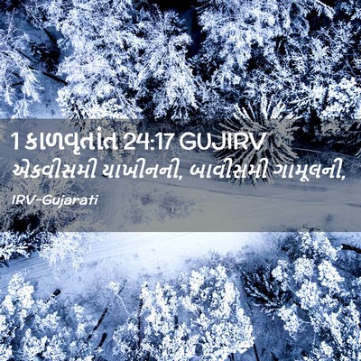 Picture 02 - 1 કાળવૃતાંત 24:17 GUJIRV - એકવીસમી યાખીનની, - Bible Verse Picture