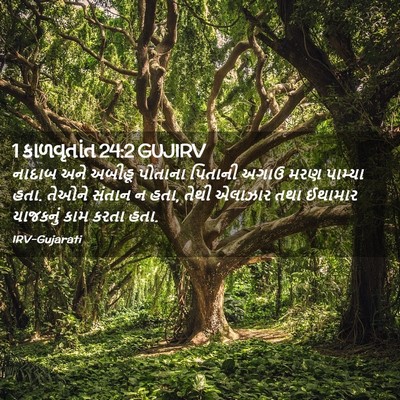 Picture 02 - 1 કાળવૃતાંત 24:2 GUJIRV - નાદાબ અને અબીહૂ - Bible Verse Picture