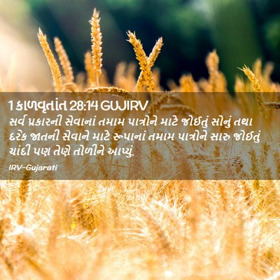Picture 02 - 1 કાળવૃતાંત 28:14 GUJIRV - સર્વ પ્રકારની - Bible Verse Picture