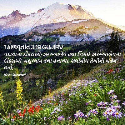 Picture 02 - 1 કાળવૃતાંત 3:19 GUJIRV - પદાયાના દીકરાઓ; - Bible Verse Picture