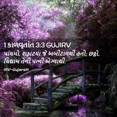 Picture 02 - 1 કાળવૃતાંત 3:3 GUJIRV - પાંચમો, શફાટયા જે - Bible Verse Picture