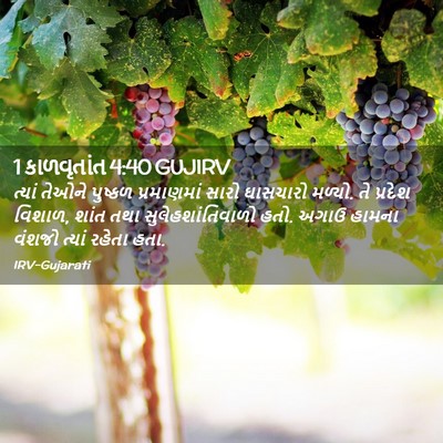 Picture 02 - 1 કાળવૃતાંત 4:40 GUJIRV - ત્યાં તેઓને - Bible Verse Picture