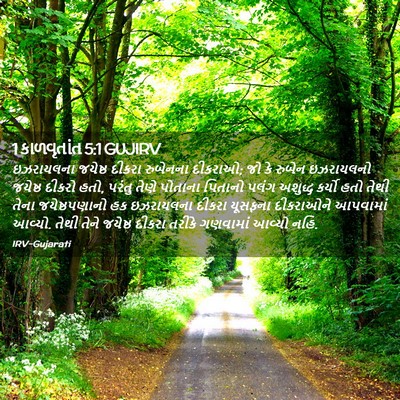 Picture 02 - 1 કાળવૃતાંત 5:1 GUJIRV - ઇઝરાયલના જયેષ્ઠ - Bible Verse Picture