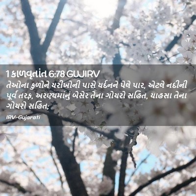 Picture 02 - 1 કાળવૃતાંત 6:78 GUJIRV - તેઓના કુળોને - Bible Verse Picture