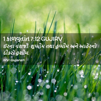 Picture 02 - 1 કાળવૃતાંત 7:12 GUJIRV - ઈરના વંશજો: - Bible Verse Picture
