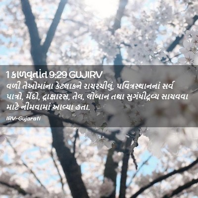 Picture 02 - 1 કાળવૃતાંત 9:29 GUJIRV - વળી તેઓમાંના - Bible Verse Picture