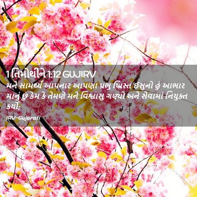 Picture 02 - 1 તિમોથીને 1:12 GUJIRV - મને સામર્થ્ય - Bible Verse Picture