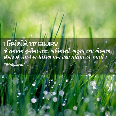 Picture 02 - 1 તિમોથીને 1:17 GUJIRV - જે સનાતન યુગોના - Bible Verse Picture