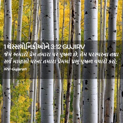 Picture 02 - 1 થેસ્સલોનિકીઓને 3:12 GUJIRV - જેમ અમારો પ્રેમ - Bible Verse Picture