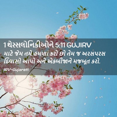 Picture 02 - 1 થેસ્સલોનિકીઓને 5:11 GUJIRV - માટે જેમ તમે હમણાં - Bible Verse Picture