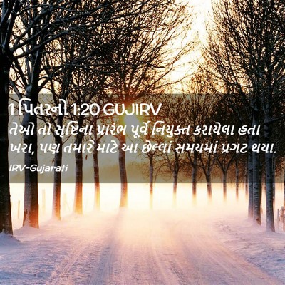 Picture 02 - 1 પિતરનો 1:20 GUJIRV - તેઓ તો સૃષ્ટિના - Bible Verse Picture
