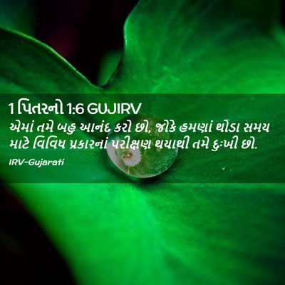 Picture 02 - 1 પિતરનો 1:6 GUJIRV - એમાં તમે બહુ આનંદ - Bible Verse Picture