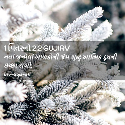 Picture 02 - 1 પિતરનો 2:2 GUJIRV - નવાં જન્મેલાં - Bible Verse Picture