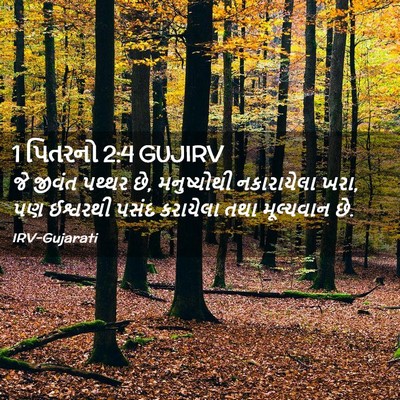 Picture 02 - 1 પિતરનો 2:4 GUJIRV - જે જીવંત પથ્થર છે, - Bible Verse Picture
