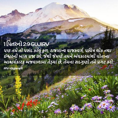 Picture 02 - 1 પિતરનો 2:9 GUJIRV - પણ તમે તો પસંદ - Bible Verse Picture