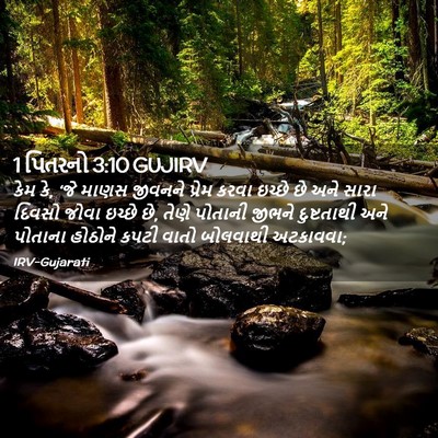 Picture 02 - 1 પિતરનો 3:10 GUJIRV - કેમ કે, ‘જે માણસ - Bible Verse Picture