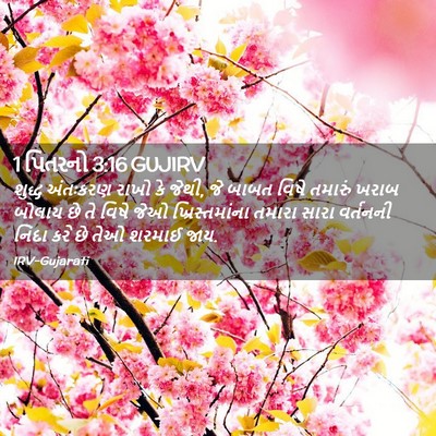 Picture 02 - 1 પિતરનો 3:16 GUJIRV - શુદ્ધ અંતઃકરણ - Bible Verse Picture