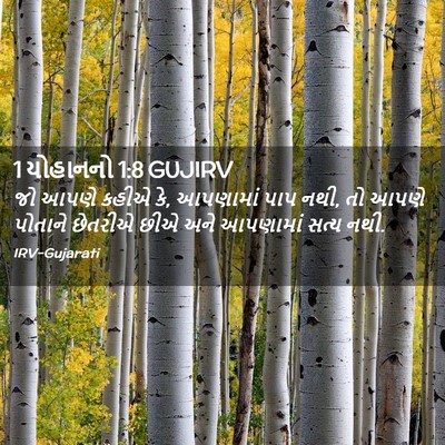 Picture 02 - 1 યોહાનનો 1:8 GUJIRV - જો આપણે કહીએ કે, - Bible Verse Picture